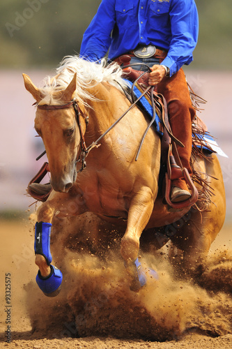 The close-up view of a rider sliding a horse into the sand.