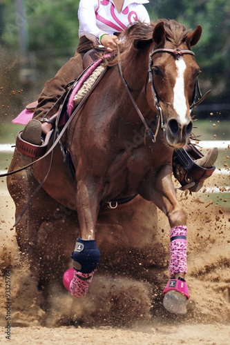 The close-up view of a rider sliding a horse in the sand.