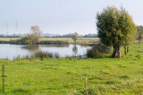 Pool and grassland in river forelands of IJssel River, Gelderland, Netherlands