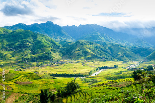 Rice fields on terraced in rainny season at SAPA  Lao Cai  Vietn