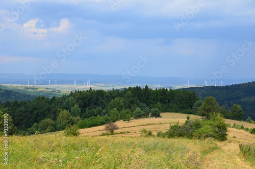 Fototapeta Naklejka Na Ścianę i Meble -  Góry Bieszczady