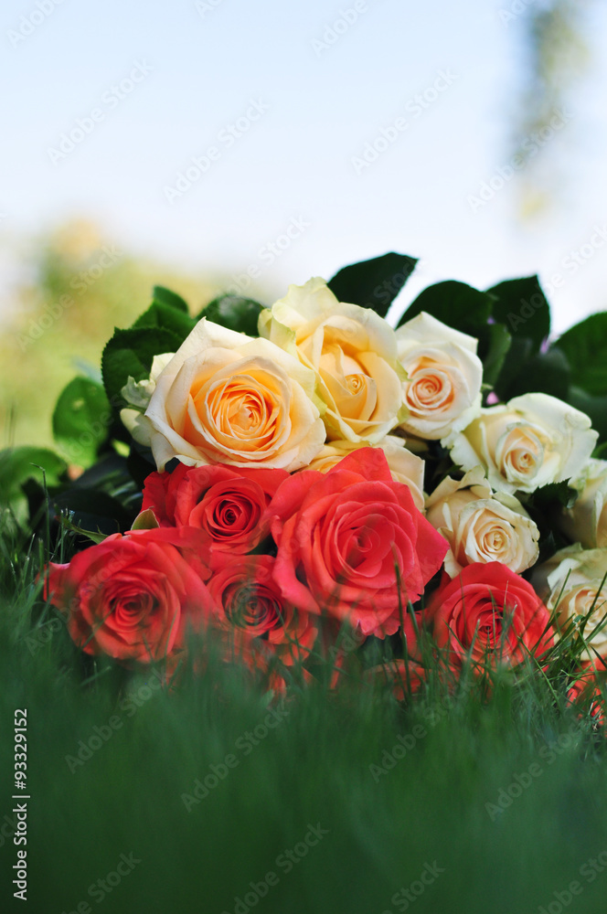 festive bouquet of roses lying on the grass on a blurred backgro