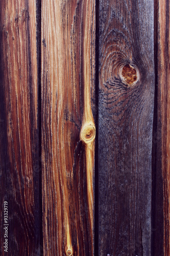 Wallpaper Mural Дерево, фон, фактура Torontodigital.ca