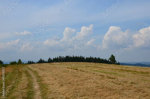 Fototapeta Naklejka Na Ścianę i Meble -  Góry Bieszczady