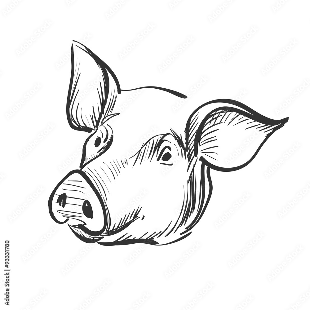 doodle pig Stock Vector | Adobe Stock