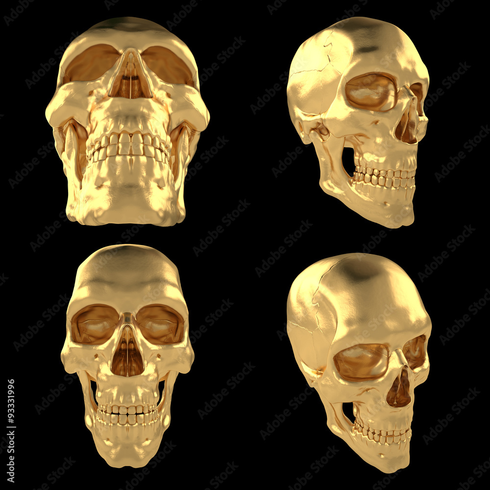 Scull51 Scull51