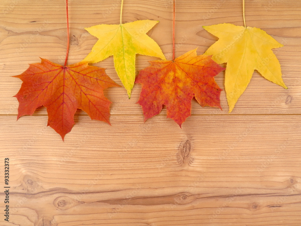 Obraz premium Bunte Herbstblätter