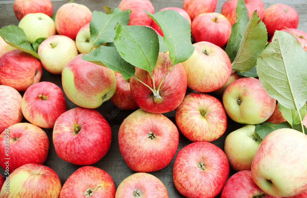 Fallen red apples Fallen red apples