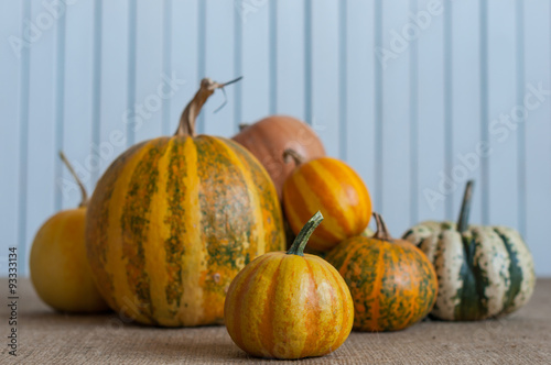 Art autumn Pumpkin thanksgiving background. Harvest - set of
