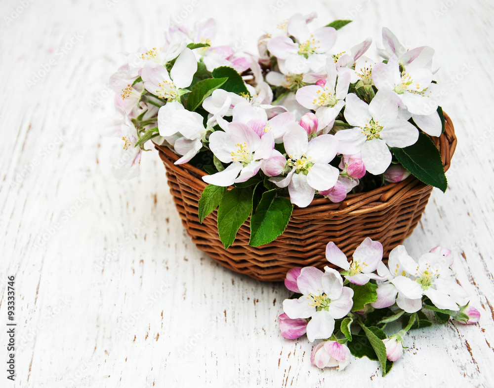 Apple blossoms