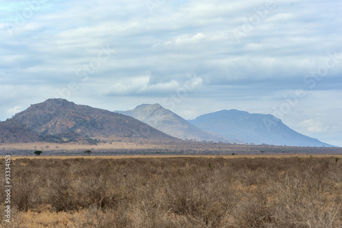 Landscape in Tsavo National Park, Kenya