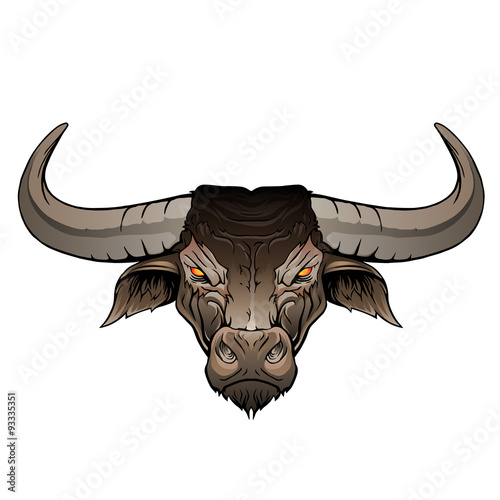 Bull head