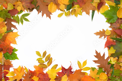  leaves frame on a white background.
