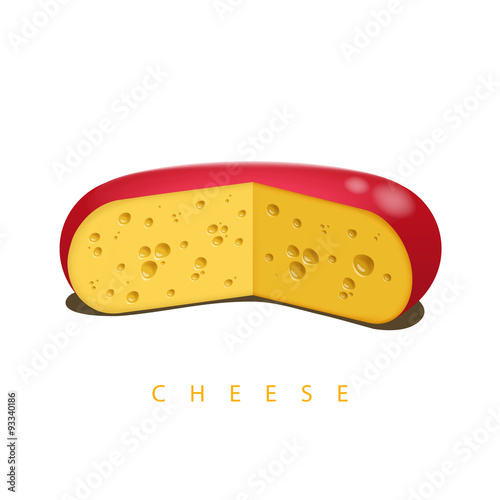 Vector illustration of the wheel of cheese isolated on the white