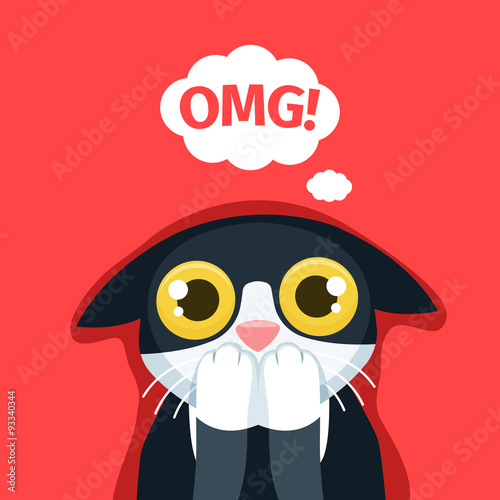 The frightened cat thinks Oh my God.