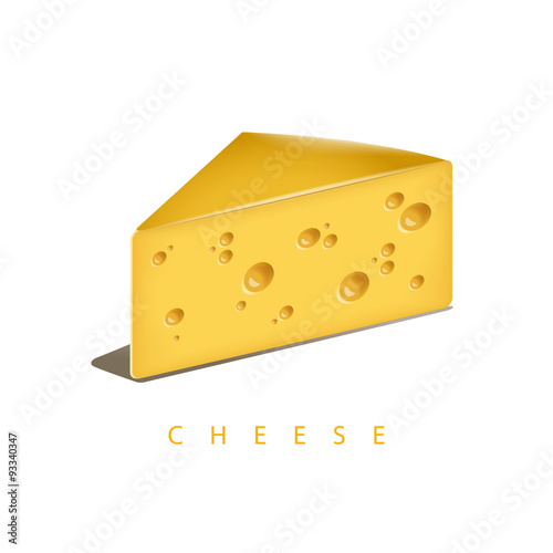 Vector illustration of the piece of cheese