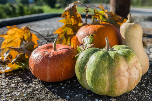 Autumn harvest of various pumpkins: butternut squash, orange and japanese pumpkin, howden. Stone rustic background.  