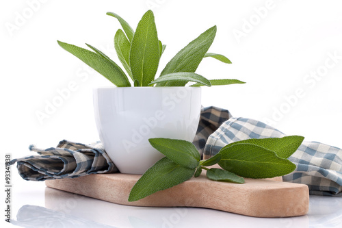 Branch of fresh sage or salvia in bowl on cutting board isolate