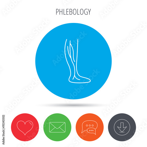 Phlebology icon. Leg veins sign.