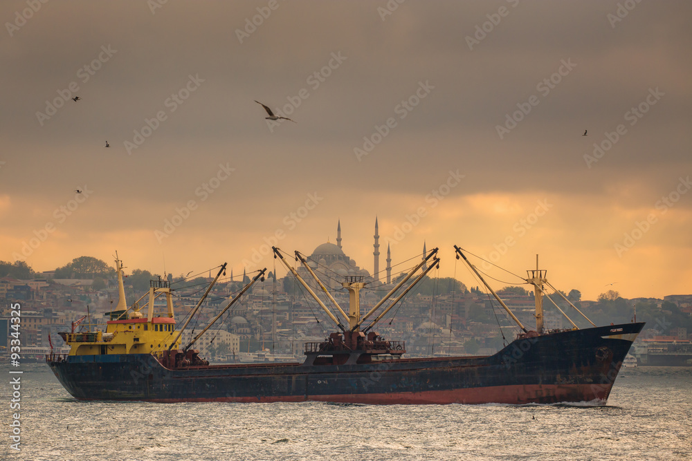 Fototapeta premium Istanbul ferry sailing in the Sea and Bosphorus