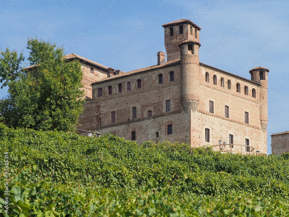 Castle of Grinzane Cavour surrounded by vineyards