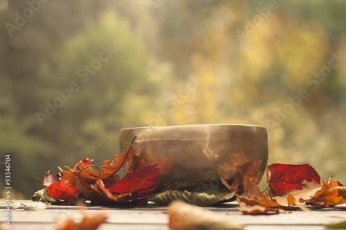 singing bowl made of seven metals surrounded of colorful autumn