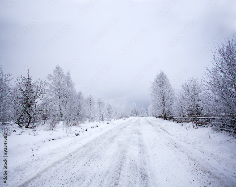 Snowy path Snowy path
