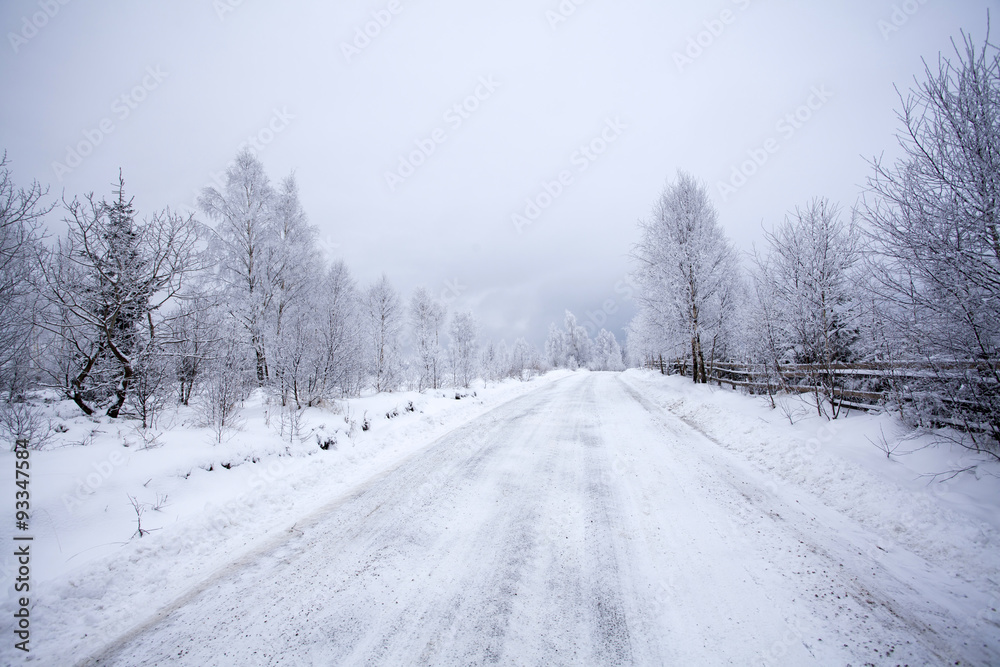 Snowy path