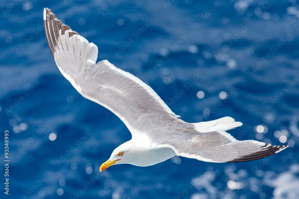 Obraz premium look in the blue