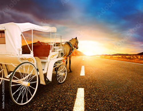 Fototapeta Naklejka Na Ścianę i Meble -  horse and classic fairy tale carriage on asphalt road perspectiv