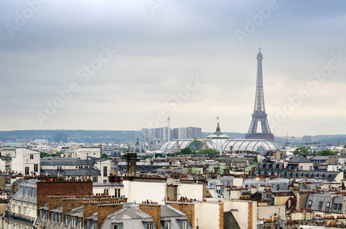Eiffel Tower and Grand Palais with roofs of Paris