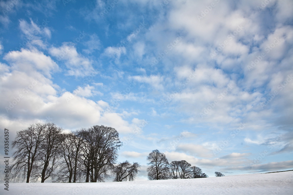Winter sceneries in Denmark with a field covered by snow