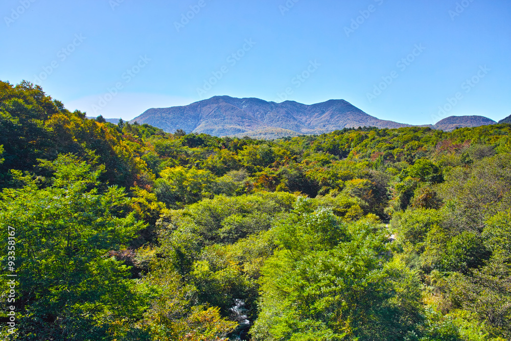 Obraz premium 嬬恋パノラマラインから見る渓谷