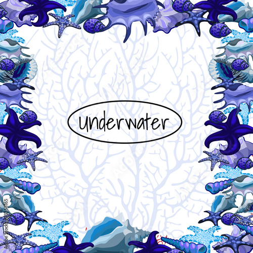Marine frame ornaments of blue sea clams with space for text