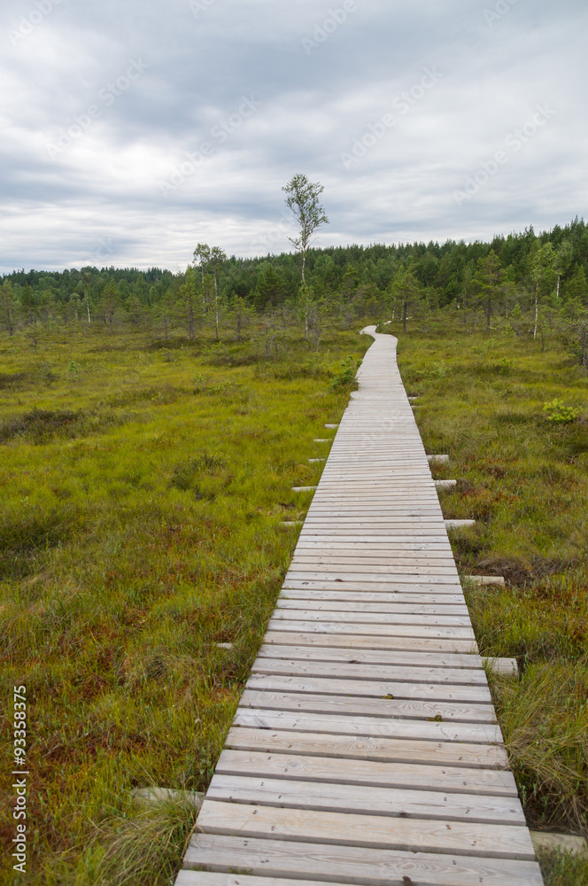Plank hiking trail through Tolkuse bog, Estonia Plank hiking trail through Tolkuse bog, Estonia
