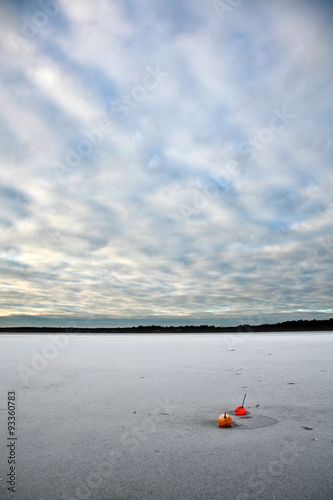 Buoy on a lake in Denmark photo