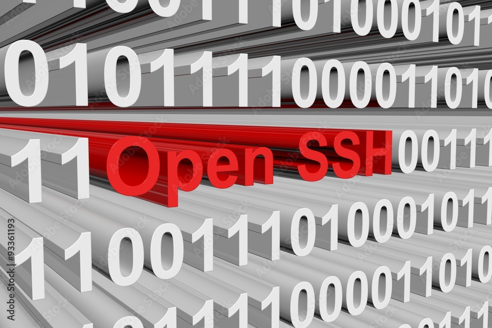 Open SSH presents in the form of binary code