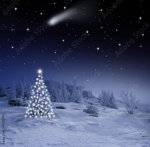 Hell Erleuchteter Christbaum im Wald