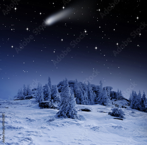 Winterwald mit Sternschnuppe