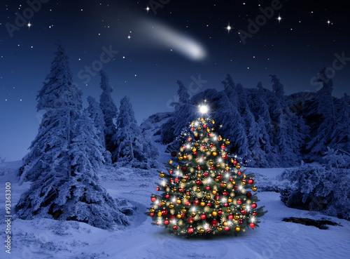 Geschmückter Tannenbaum im Winterwald