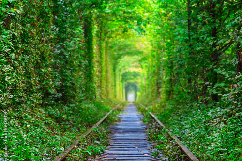 ukraine, tunnel of lovers © Yuriy Kulik