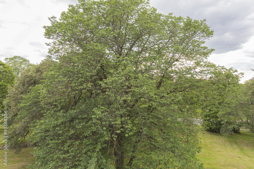 Stockholm Schweden im Sommer