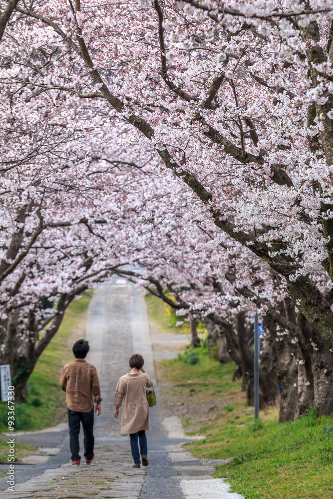 桜のアーチ