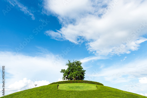 One tree on a grassy knoll with blue sky