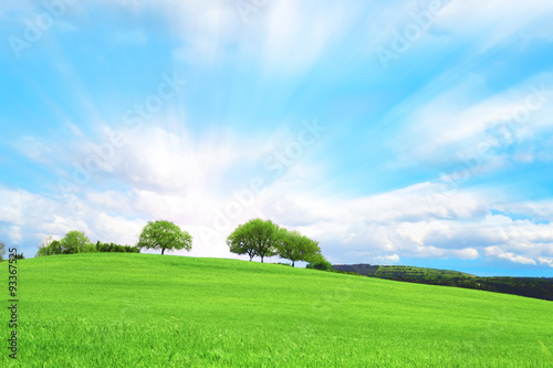 Collina verde con tre alberi e nuvole nel cielo azzurro 