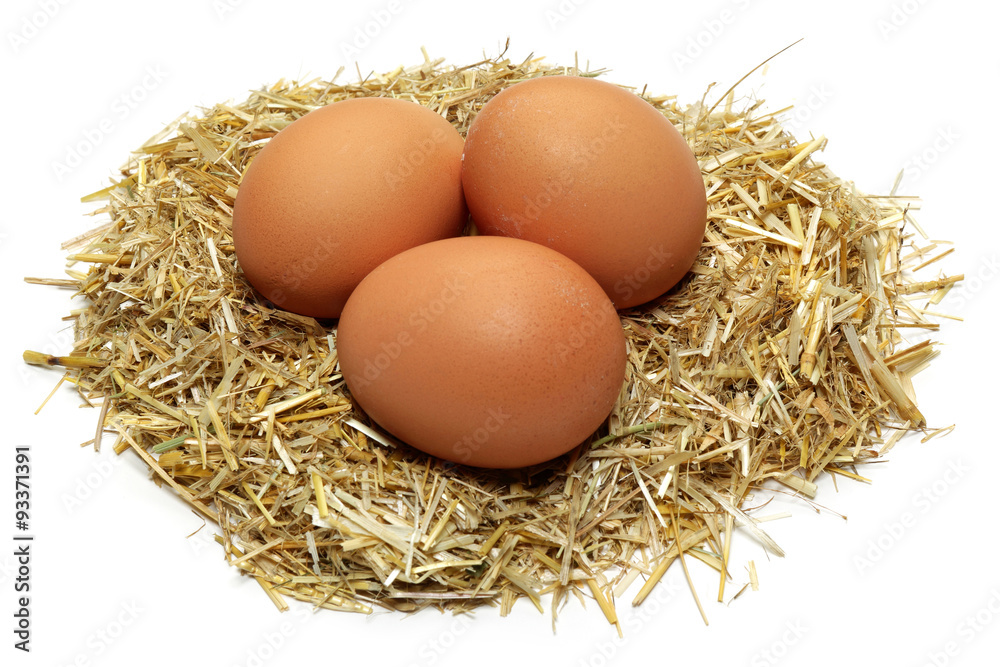 Chicken eggs in a nest Chicken eggs in a nest