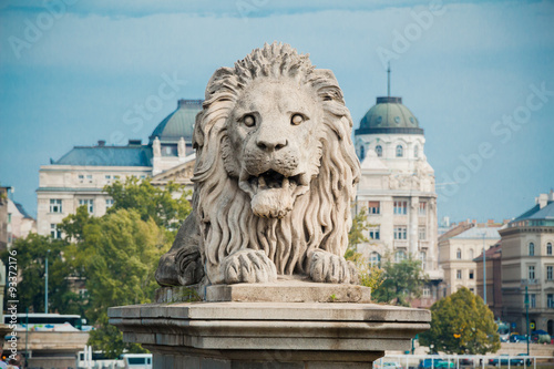Lion statue at the Chain bridge, Budapest, Hungary 