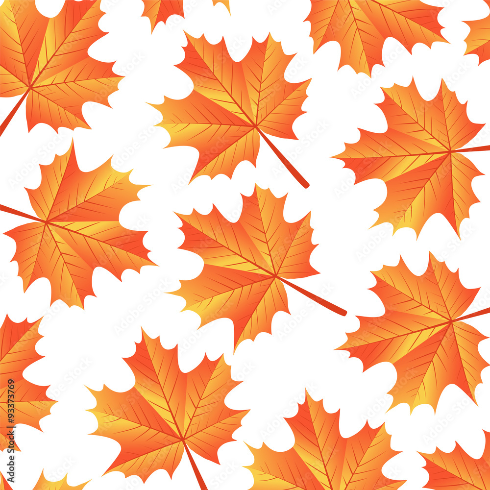 background autumn maple leaves background autumn maple leaves