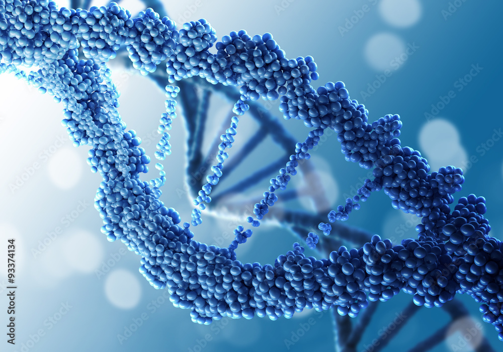DNA molecule