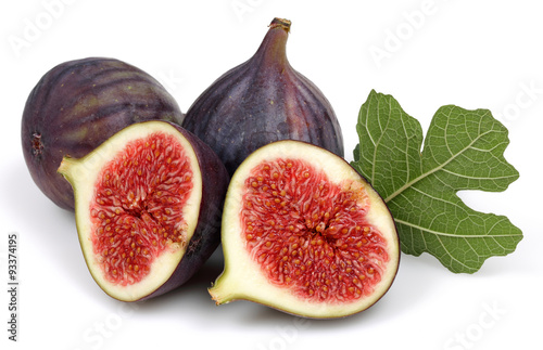 Fig group